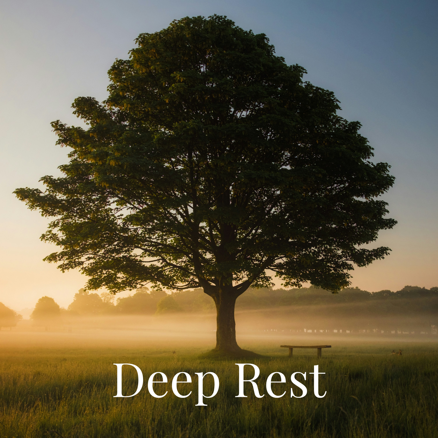 Deep Rest