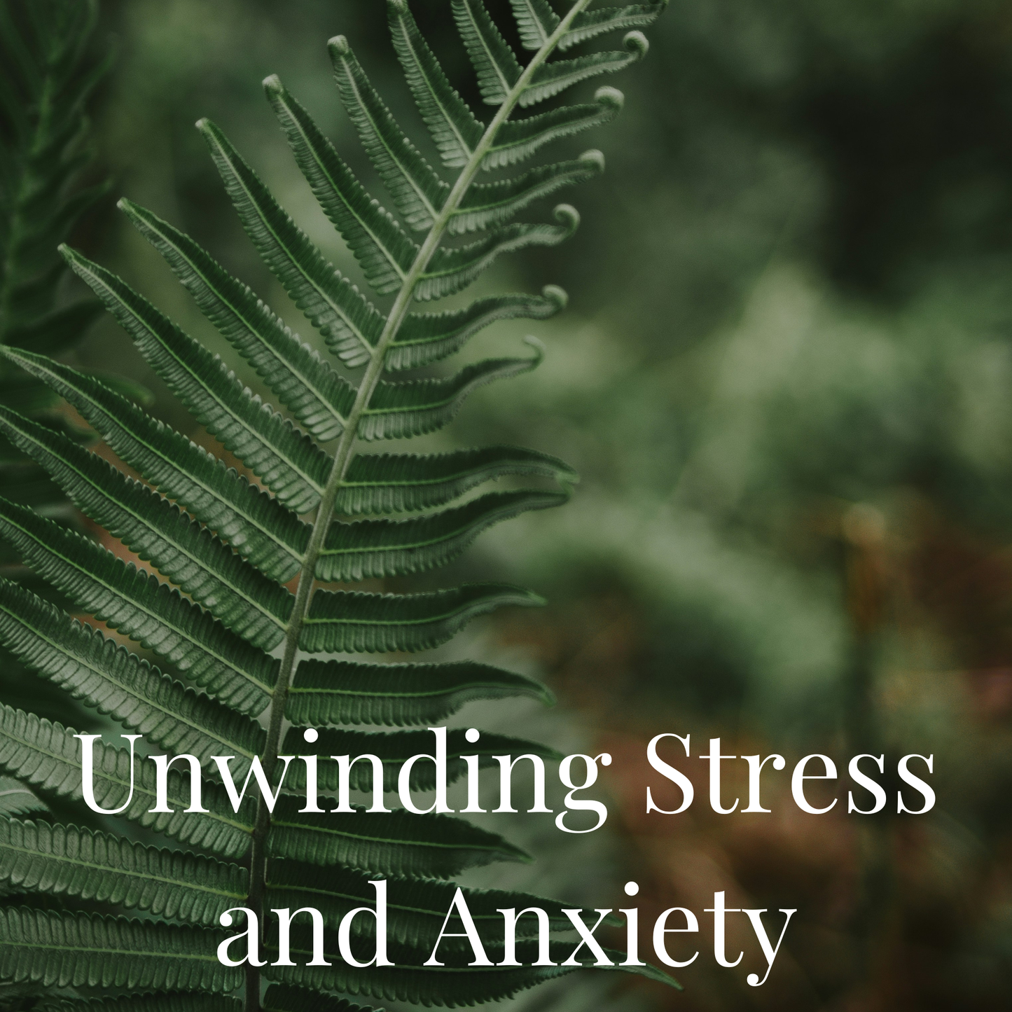 Unwinding Stress & Anxiety