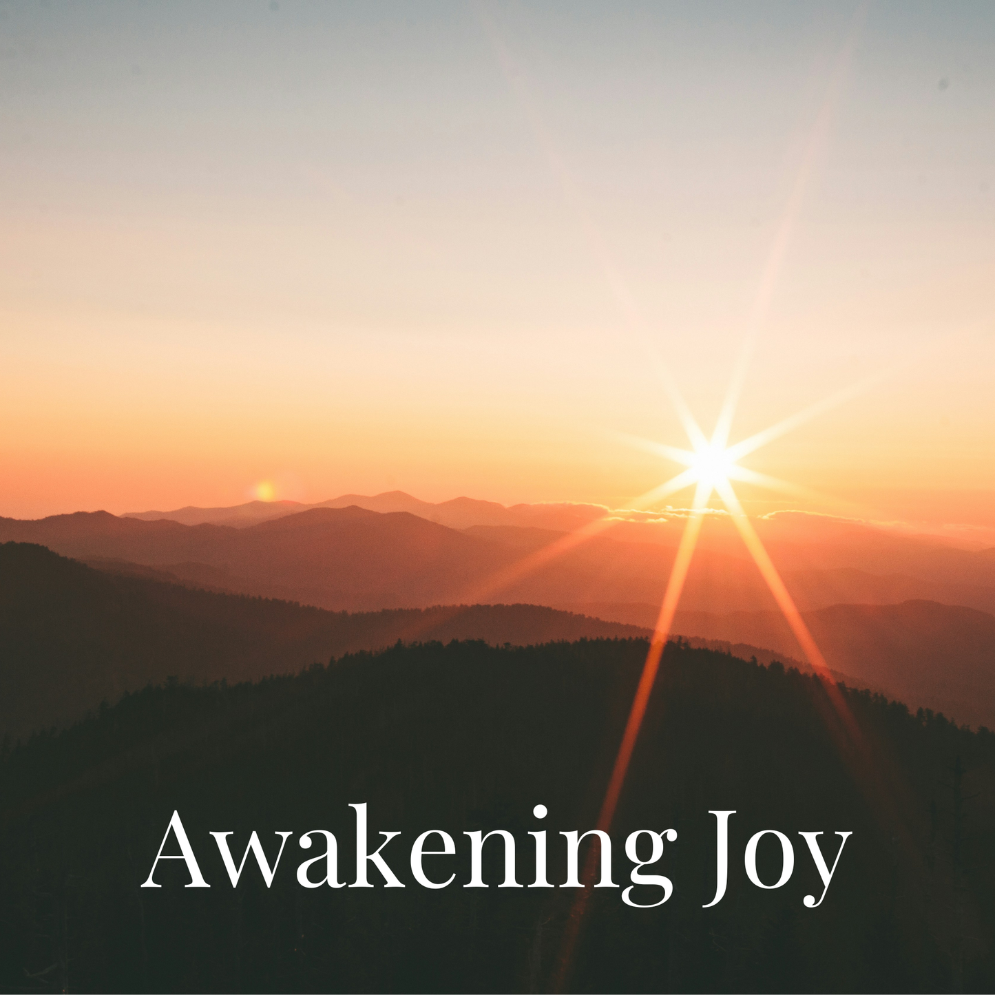 Awakening Joy