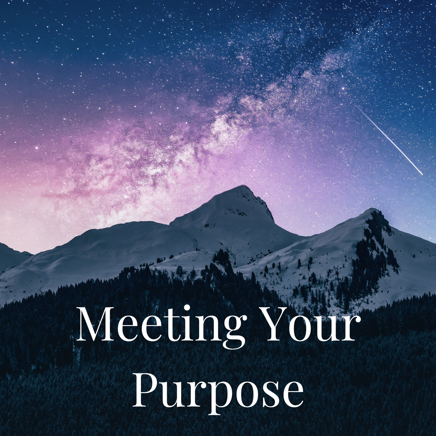 Meeting Your Purpose