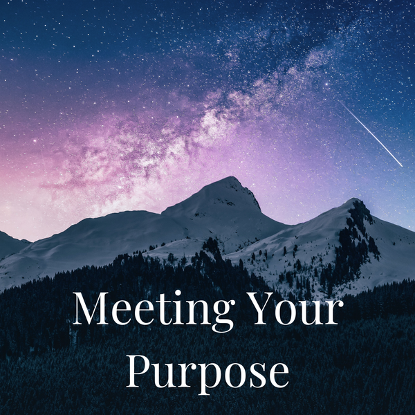 Meeting Your Purpose