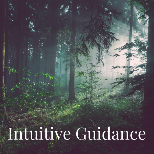 Intuitive Guidance