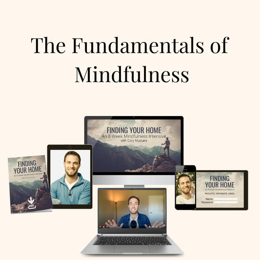 The Fundamentals of Mindfulness
